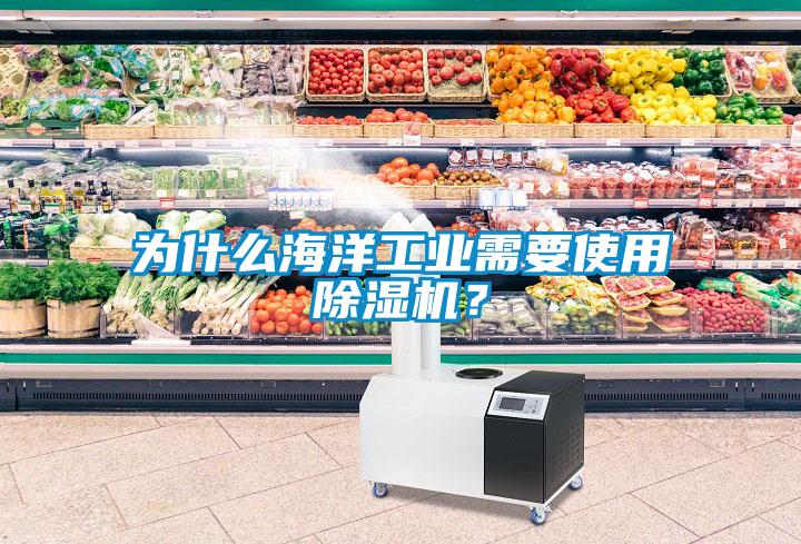 為什么海洋工業(yè)需要使用除濕機？