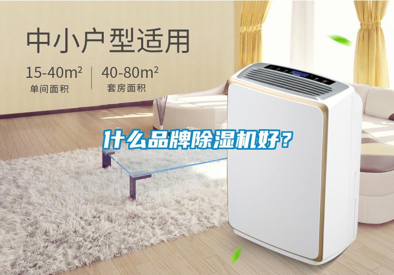 什么品牌除濕機(jī)好？