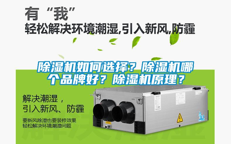 除濕機如何選擇？除濕機哪個品牌好？除濕機原理？