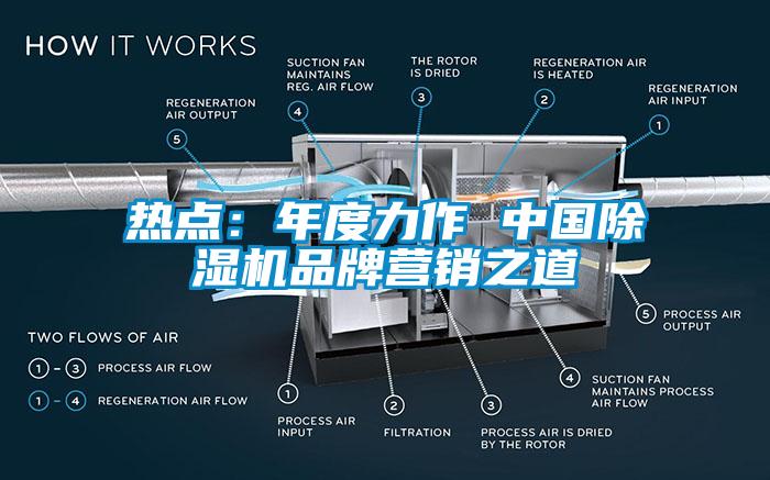 熱點：年度力作 中國除濕機品牌營銷之道