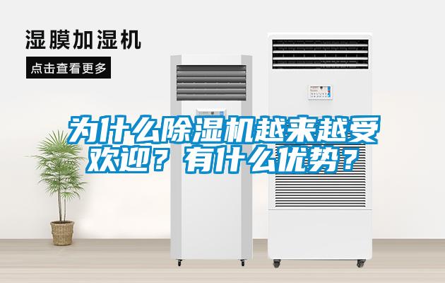 為什么除濕機越來越受歡迎？有什么優(yōu)勢？