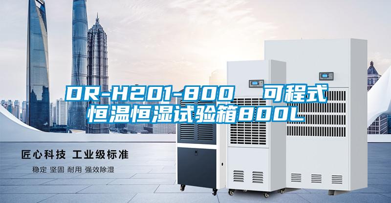 DR-H201-800  可程式恒溫恒濕試驗箱800L