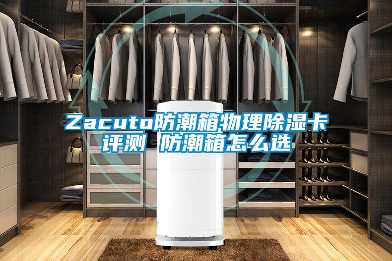 Zacuto防潮箱物理除濕卡評測 防潮箱怎么選