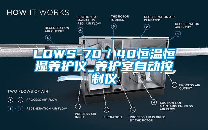 LDWS-70／40恒溫恒濕養(yǎng)護儀_養(yǎng)護室自動控制儀