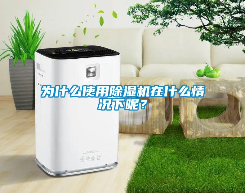 為什么使用除濕機(jī)在什么情況下呢？