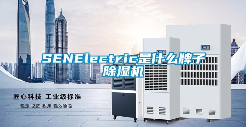 SENElectric是什么牌子除濕機(jī)