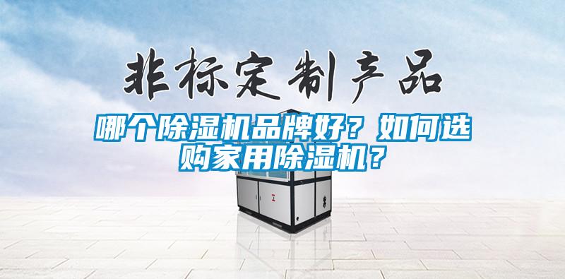 哪個除濕機品牌好？如何選購家用除濕機？