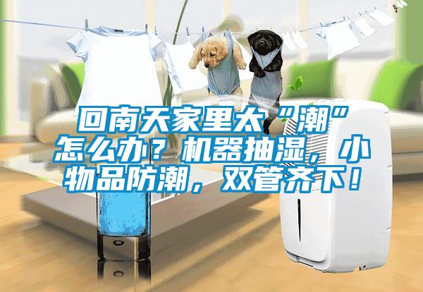 回南天家里太“潮”怎么辦？機器抽濕，小物品防潮，雙管齊下！