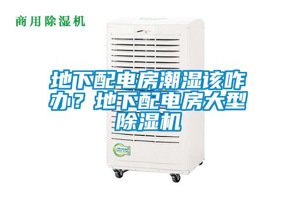 地下配電房潮濕該咋辦？地下配電房大型除濕機