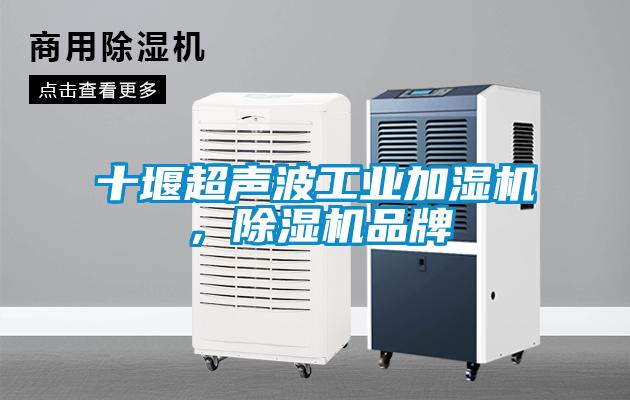 十堰超聲波工業(yè)加濕機(jī)，除濕機(jī)品牌