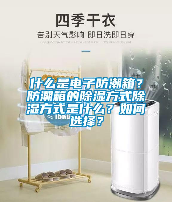 什么是電子防潮箱？防潮箱的除濕方式除濕方式是什么？如何選擇？