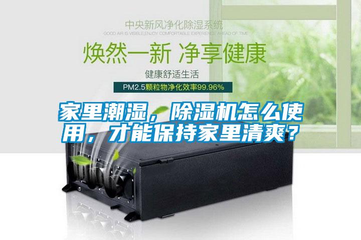 家里潮濕，除濕機(jī)怎么使用，才能保持家里清爽？