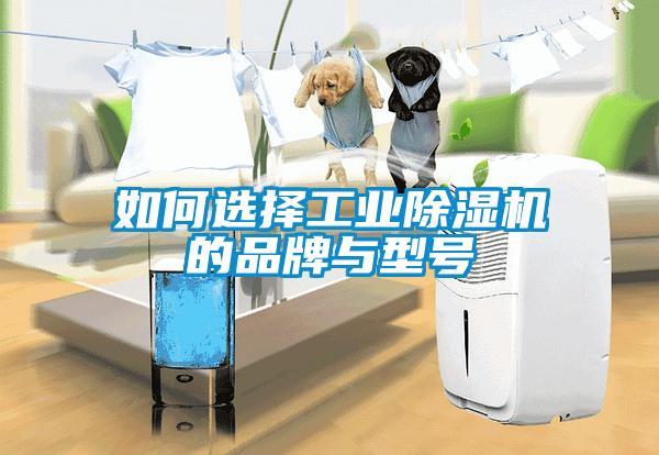 如何選擇工業(yè)除濕機的品牌與型號