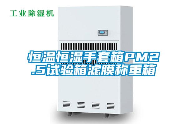 恒溫恒濕手套箱PM2.5試驗(yàn)箱濾膜稱重箱