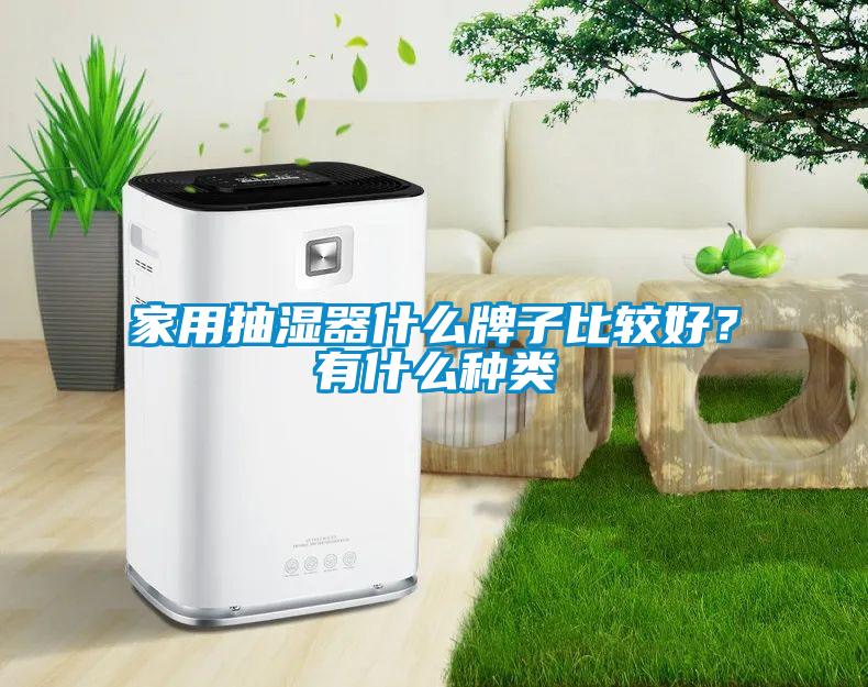 家用抽濕器什么牌子比較好？有什么種類