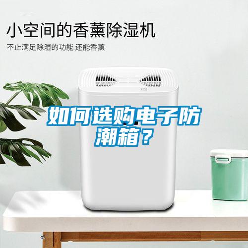 如何選購電子防潮箱？