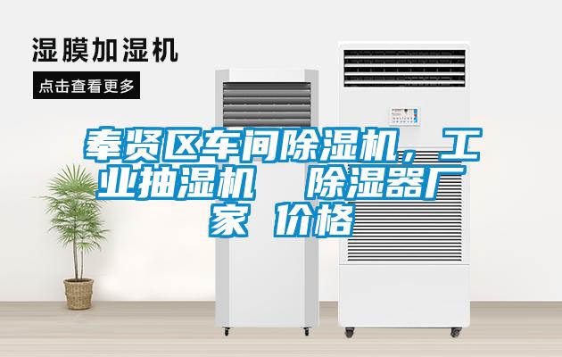 奉賢區(qū)車間除濕機，工業(yè)抽濕機  除濕器廠家 價格