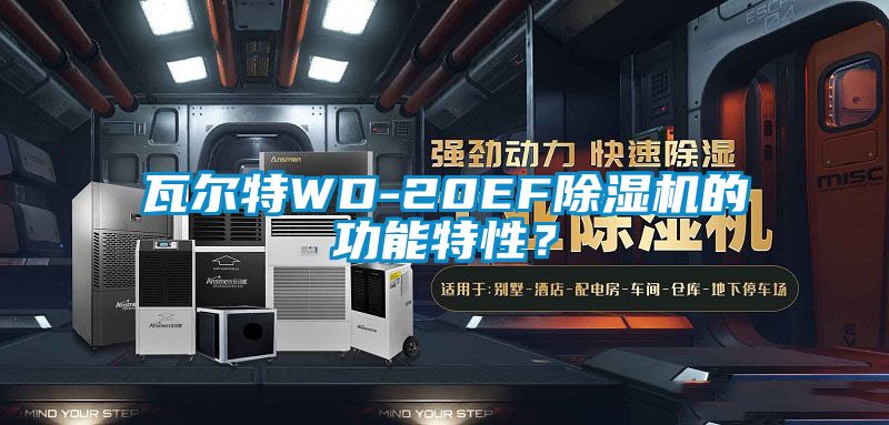 瓦爾特WD-20EF除濕機的功能特性？