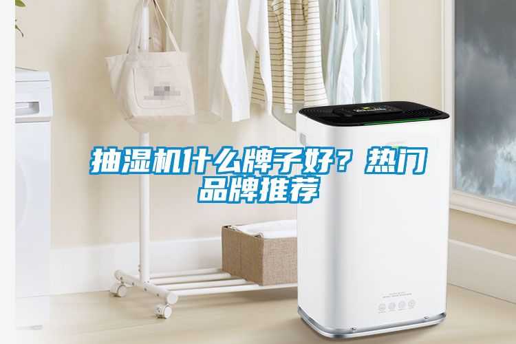 抽濕機(jī)什么牌子好？熱門品牌推薦