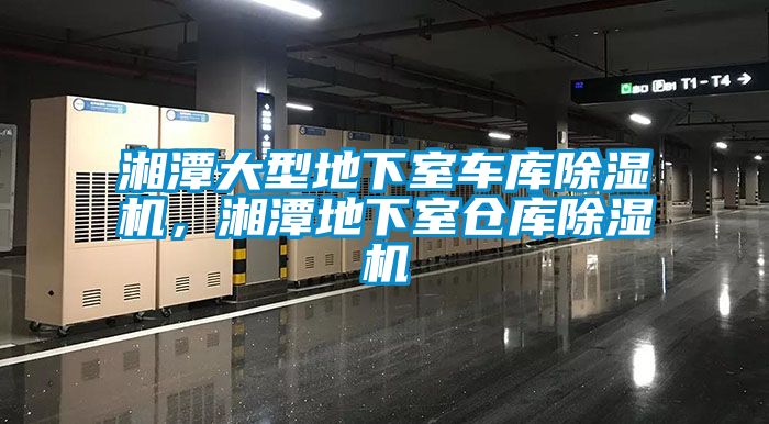 湘潭大型地下室車庫除濕機(jī)，湘潭地下室倉庫除濕機(jī)