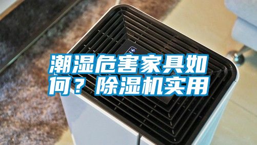 潮濕危害家具如何？除濕機實用