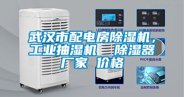 武漢市配電房除濕機(jī)，工業(yè)抽濕機(jī)  除濕器廠家 價(jià)格