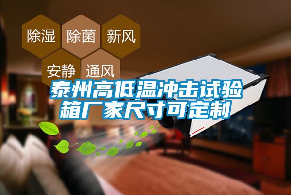 泰州高低溫沖擊試驗箱廠家尺寸可定制