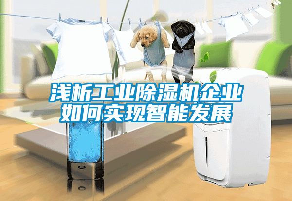 淺析工業(yè)除濕機(jī)企業(yè)如何實現(xiàn)智能發(fā)展