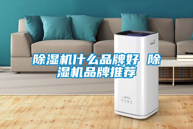 除濕機(jī)什么品牌好 除濕機(jī)品牌推薦