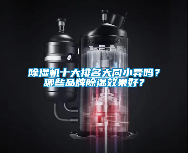 除濕機(jī)十大排名大同小異嗎？哪些品牌除濕效果好？