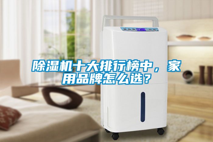 除濕機(jī)十大排行榜中，家用品牌怎么選？