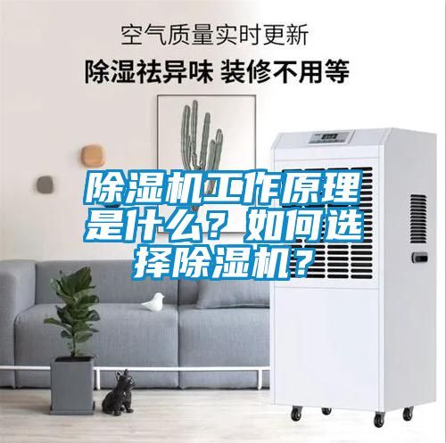 除濕機工作原理是什么？如何選擇除濕機？