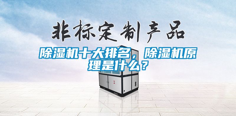 除濕機(jī)十大排名，除濕機(jī)原理是什么？