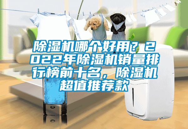 除濕機(jī)哪個(gè)好用？2022年除濕機(jī)銷量排行榜前十名，除濕機(jī)超值推薦款