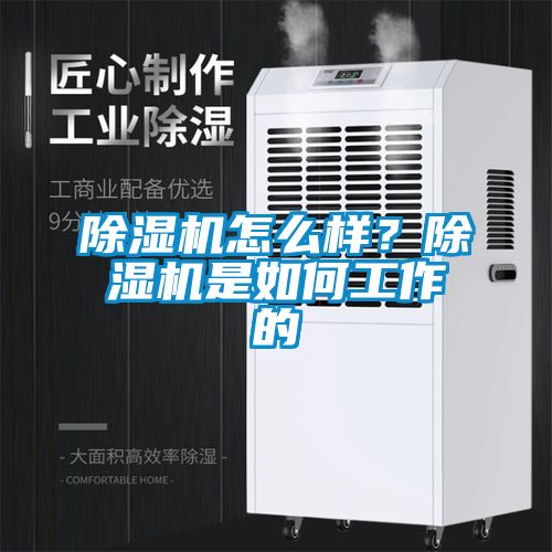 除濕機怎么樣？除濕機是如何工作的