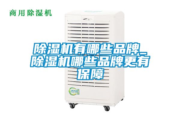 除濕機有哪些品牌_除濕機哪些品牌更有保障