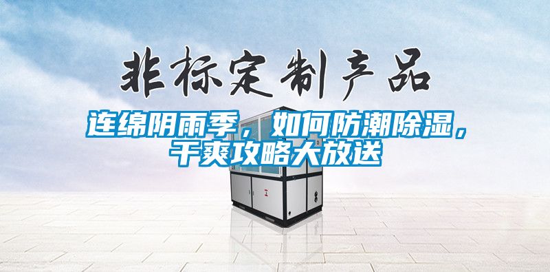 連綿陰雨季，如何防潮除濕，干爽攻略大放送