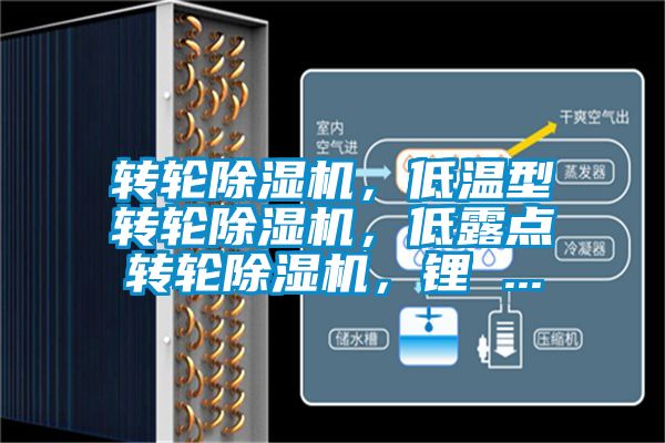 轉(zhuǎn)輪除濕機，低溫型轉(zhuǎn)輪除濕機，低露點轉(zhuǎn)輪除濕機，鋰 ...