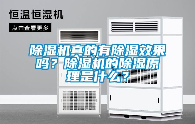 除濕機真的有除濕效果嗎？除濕機的除濕原理是什么？