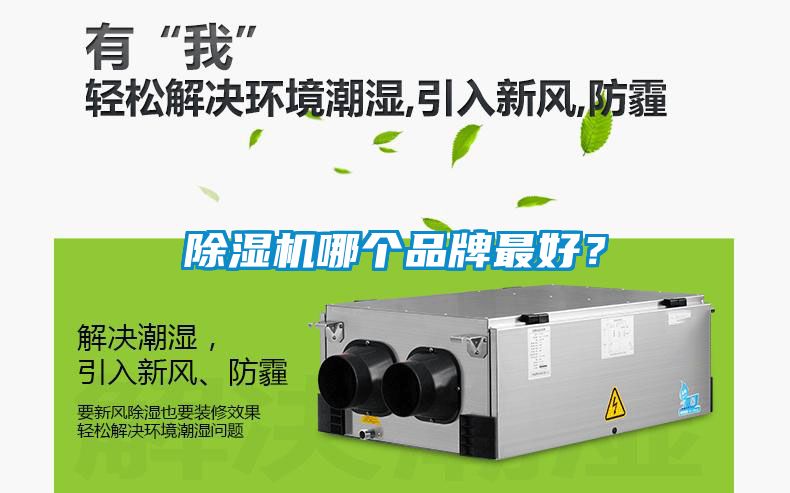 除濕機哪個品牌最好？