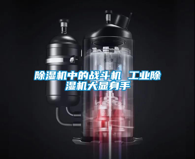 除濕機(jī)中的戰(zhàn)斗機(jī) 工業(yè)除濕機(jī)大顯身手