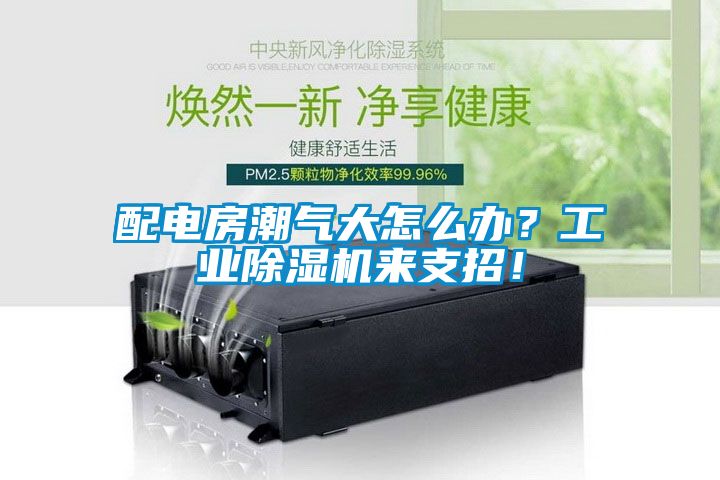 配電房潮氣大怎么辦？工業(yè)除濕機(jī)來支招！