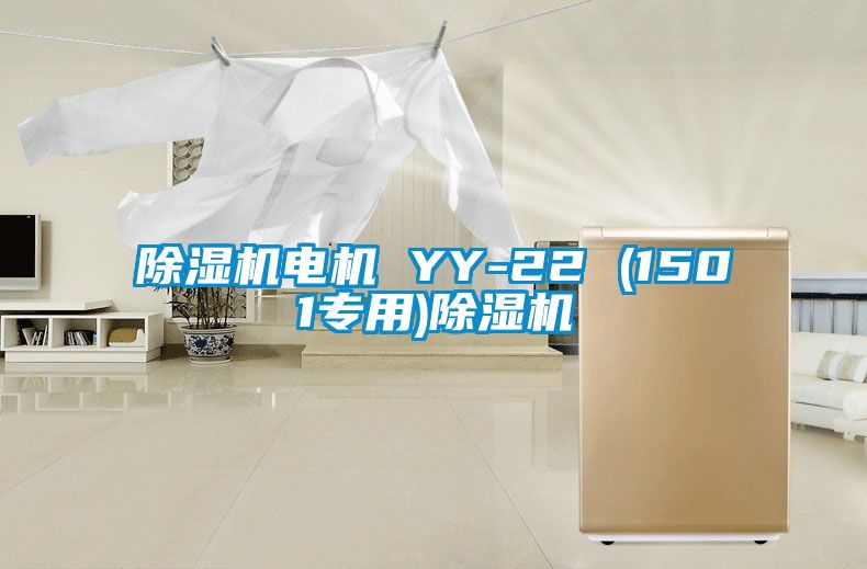 除濕機電機 YY-22 (1501專用)除濕機