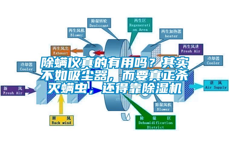 除螨儀真的有用嗎？其實不如吸塵器，而要真正殺滅螨蟲，還得靠除濕機